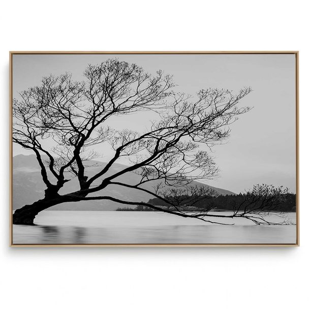 Quadro Decorativo Sereno III