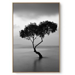 Quadro Decorativo Sereno VII