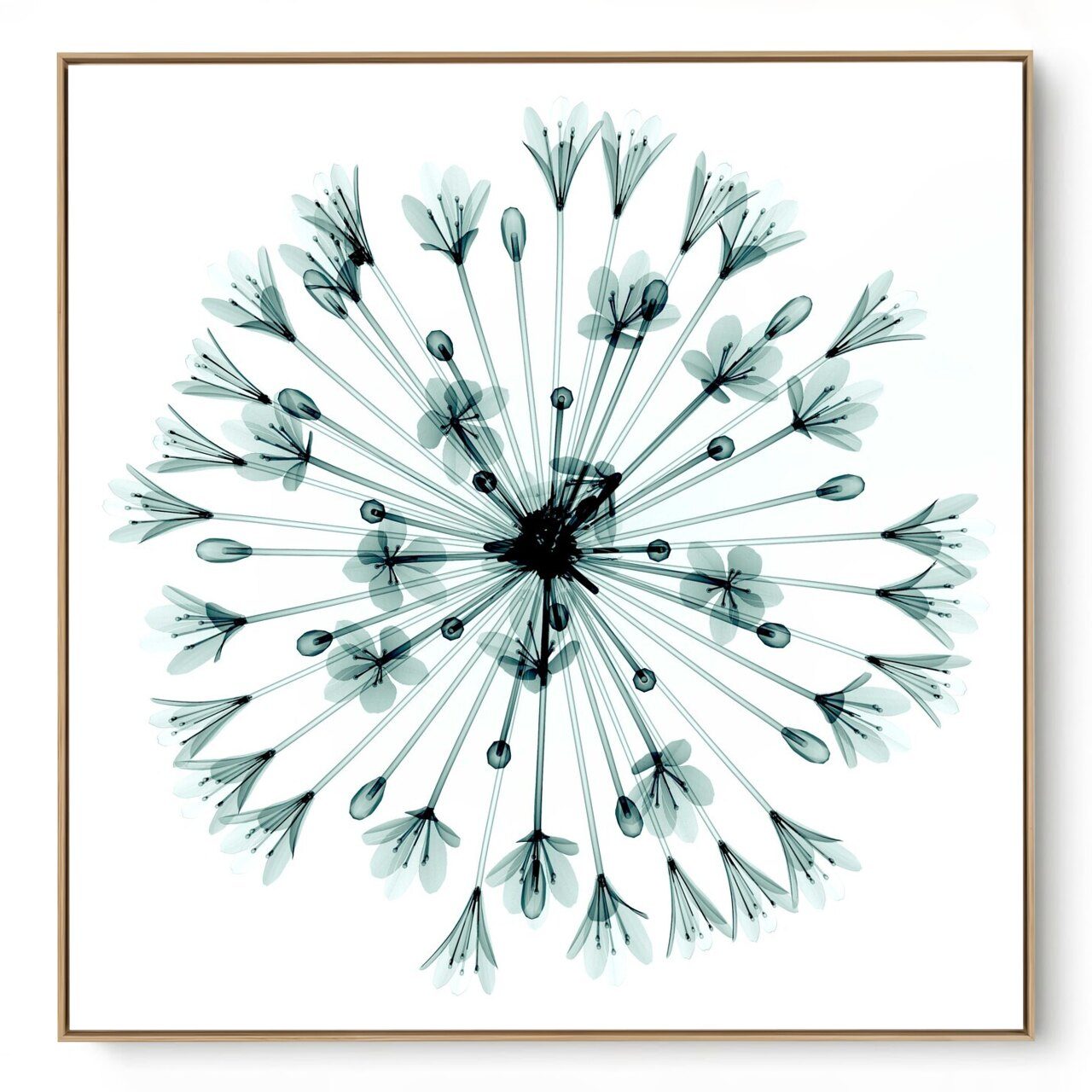 Quadro Decorativo Serie Fundo Branco IV