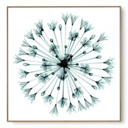 Quadro Decorativo Serie Fundo Branco IV