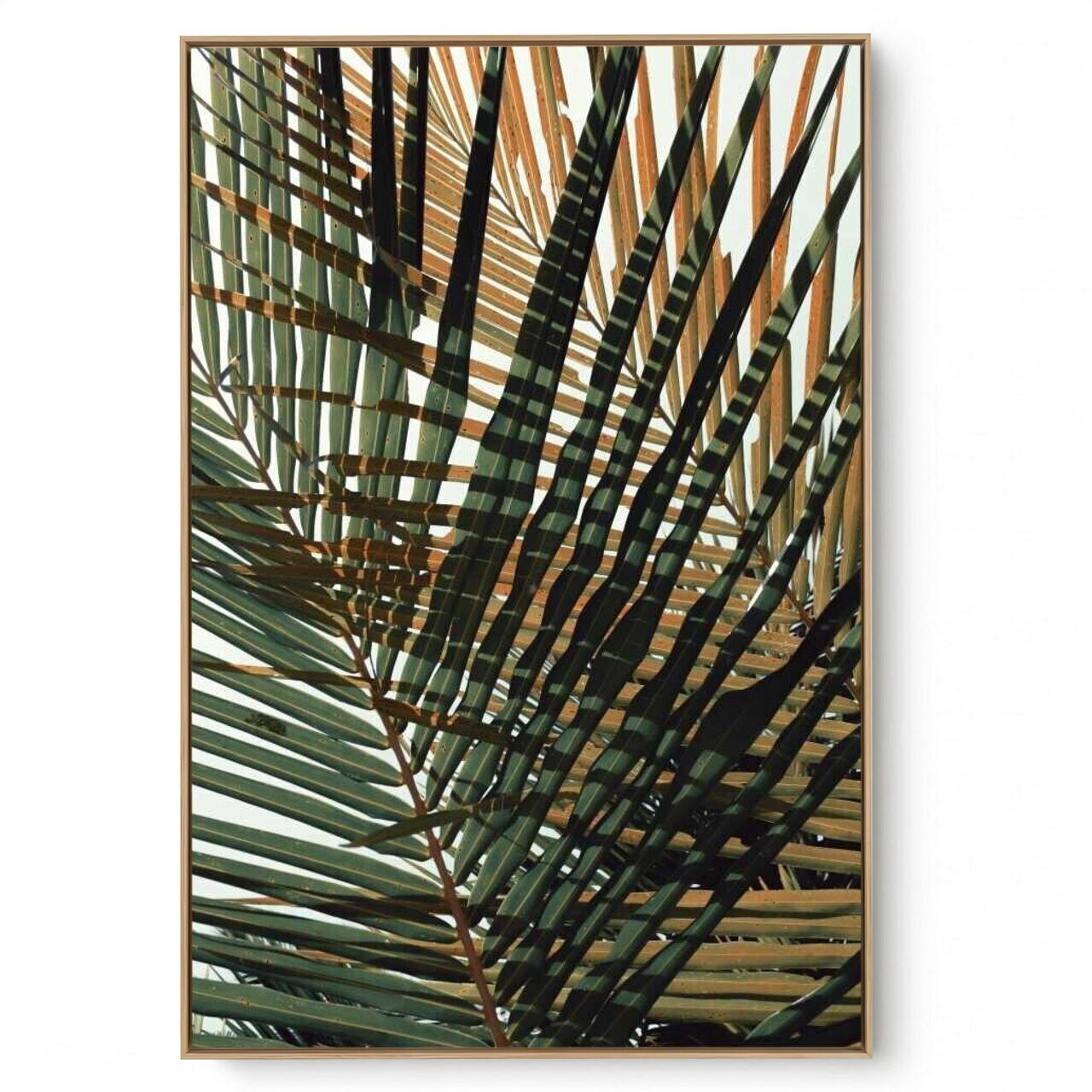 Quadro Decorativo Folhas e Sombra