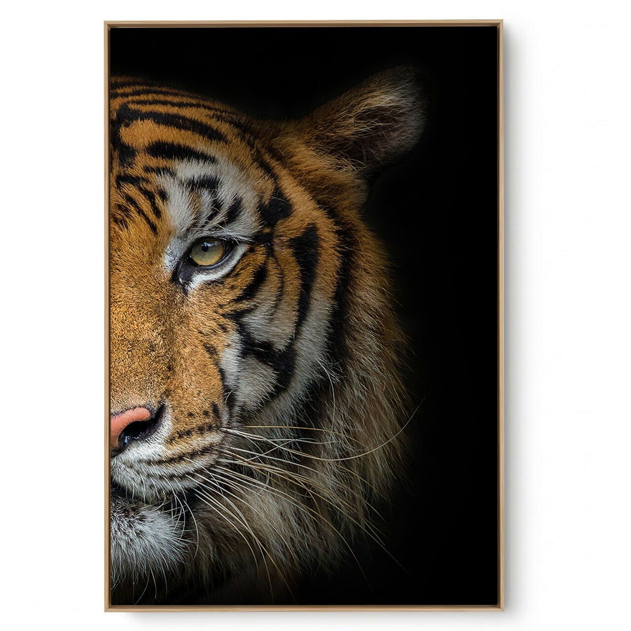 Quadro Decorativo Tigre I