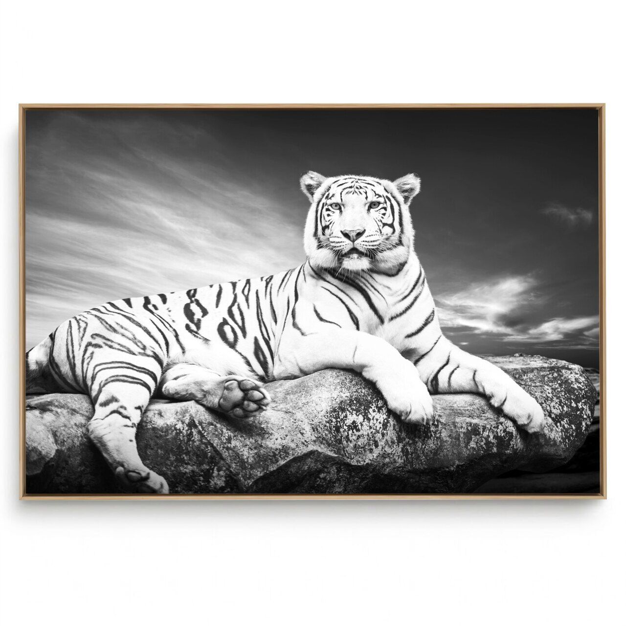 Quadro Decorativo Tigre IV
