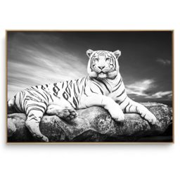 Quadro Decorativo Tigre IV