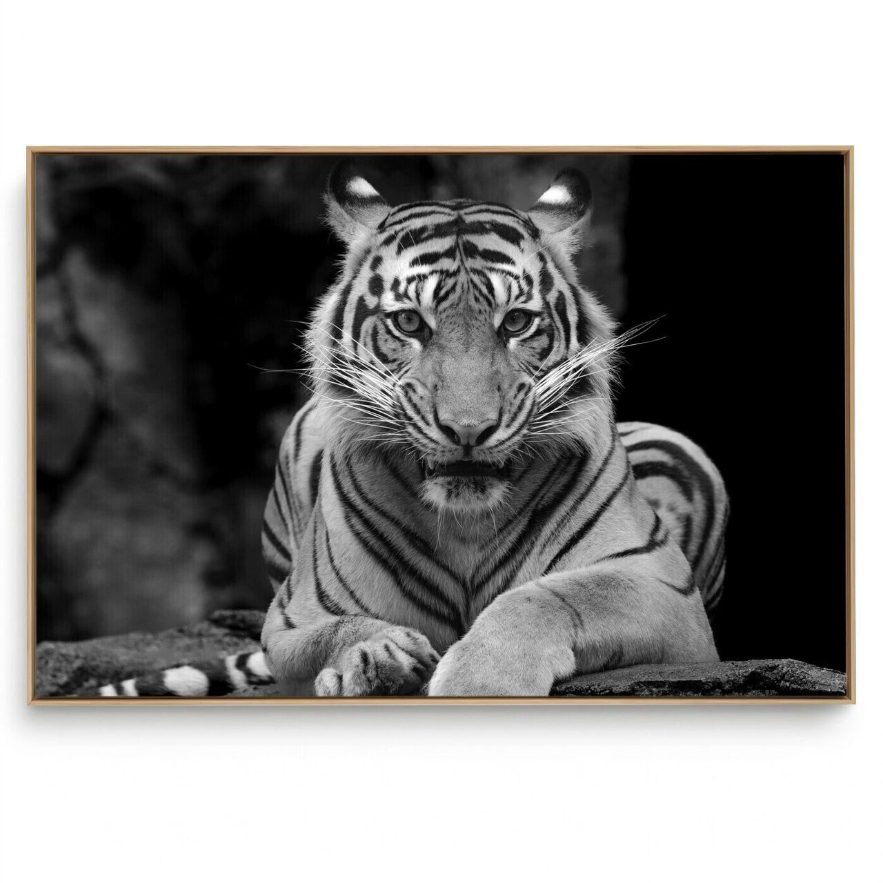 Quadro Decorativo Tigre VI