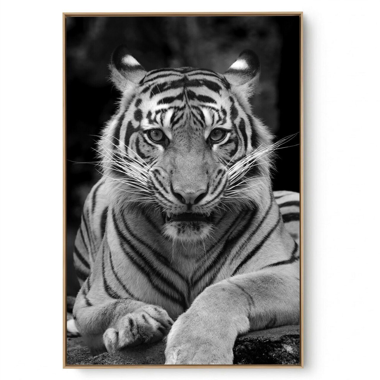 Quadro Decorativo Tigre VIII