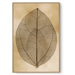 Quadro Decorativo Transparência IV