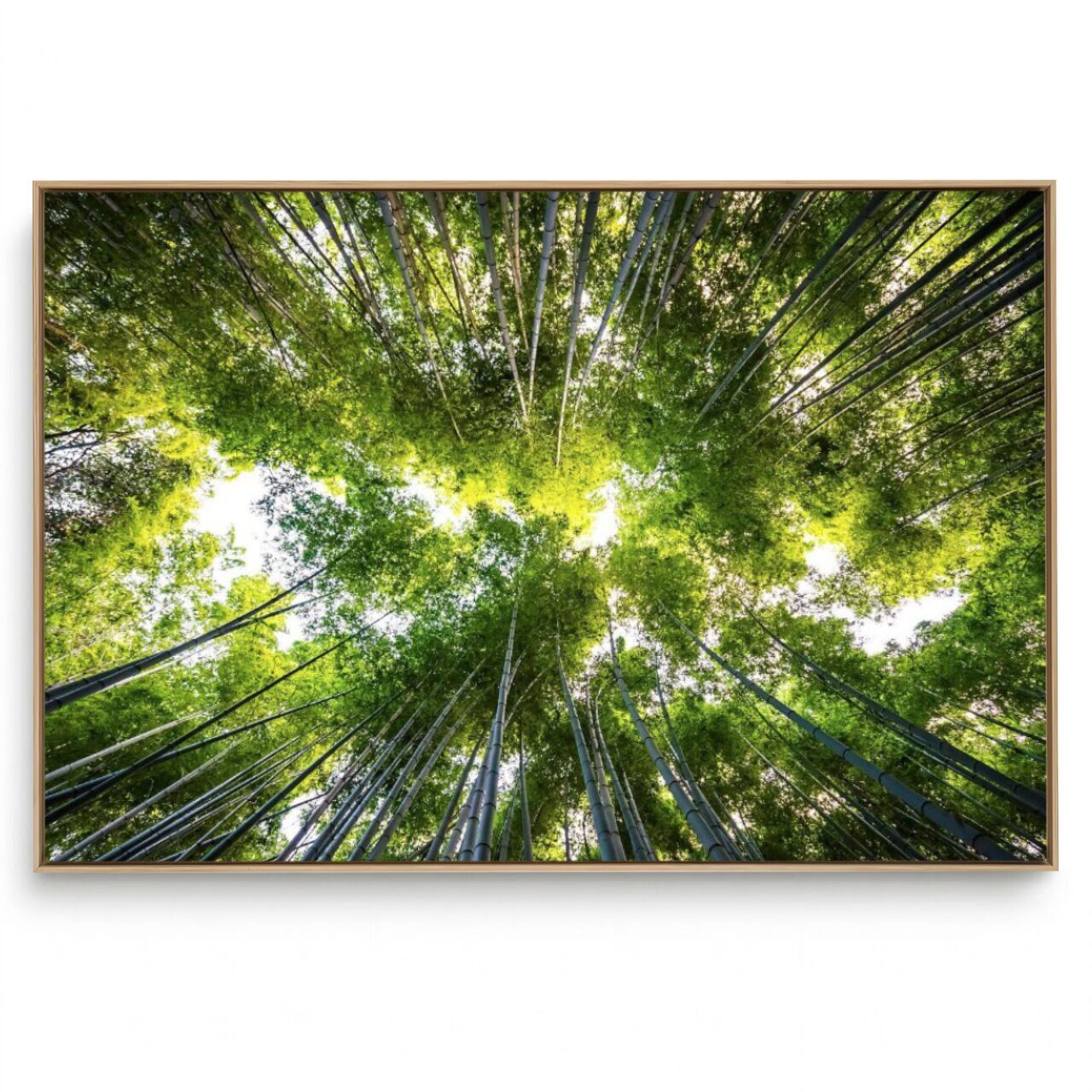 Quadro Decorativo Único Floresta I  