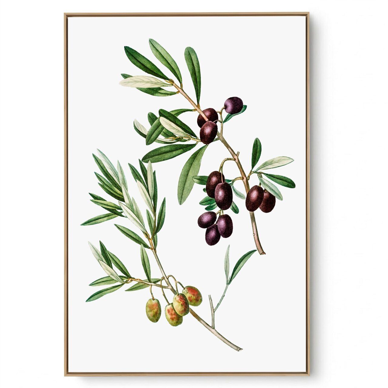 Quadro Decorativo Azeitona