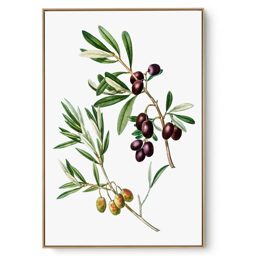 Quadro Decorativo Azeitona