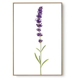 Quadro Decorativo Lavanda I