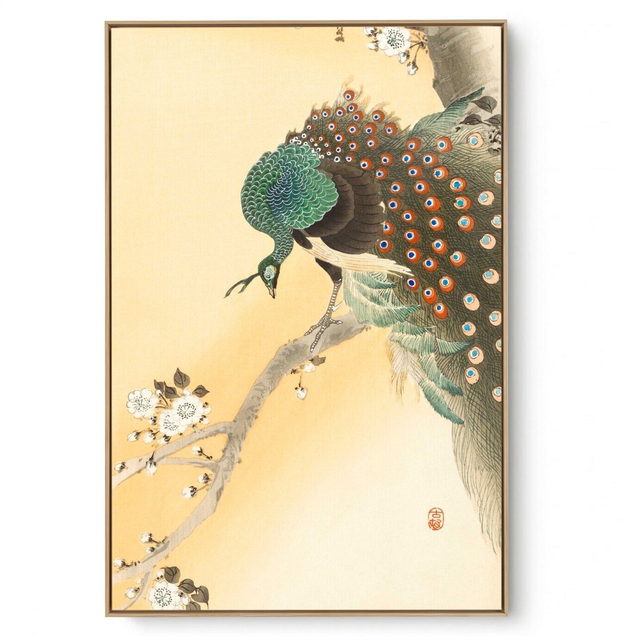 Quadro Decorativo Reprodução Pintores - Ohara Koson - Pavão em Árvore Cerejeira 