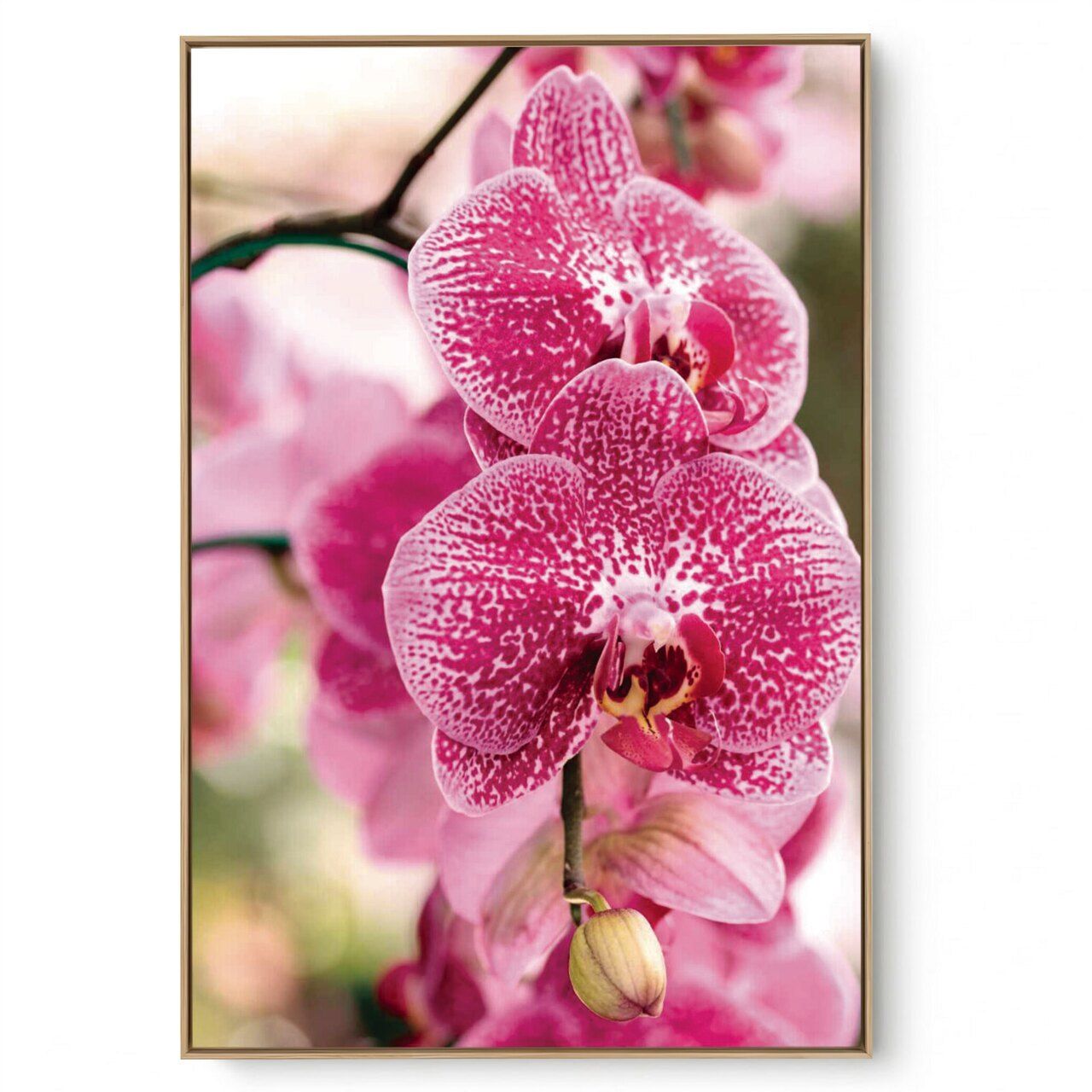 Quadro Decorativo Orquídea III