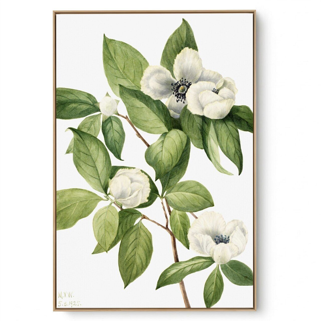 Quadro Decorativo Reprodução Pintores Mary Vaux - Virgínea 1925