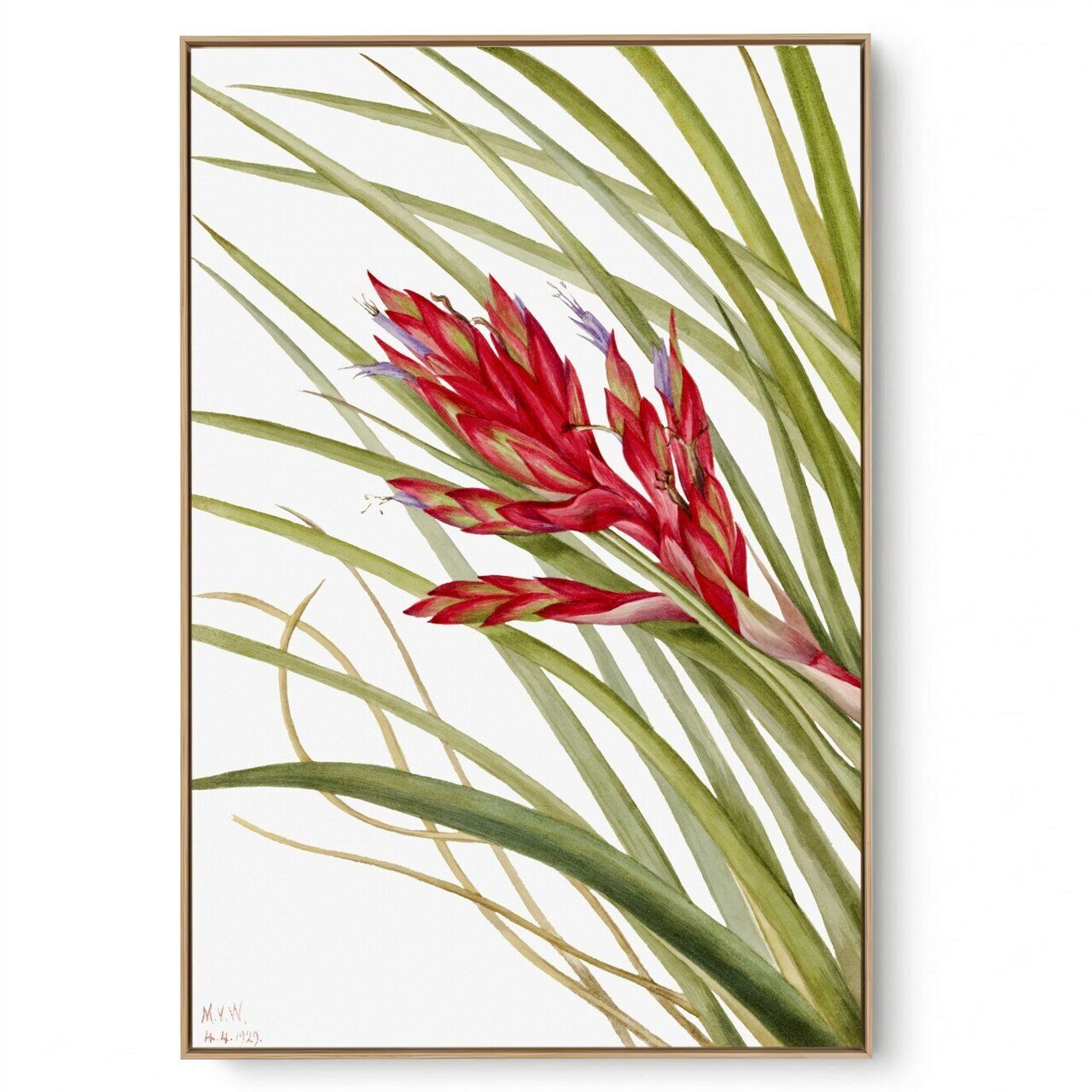 Quadro Decorativo Reprodução Pintores Mary Vaux - Quill Leaf