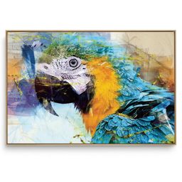 Quadro decorativo Arara Azul
