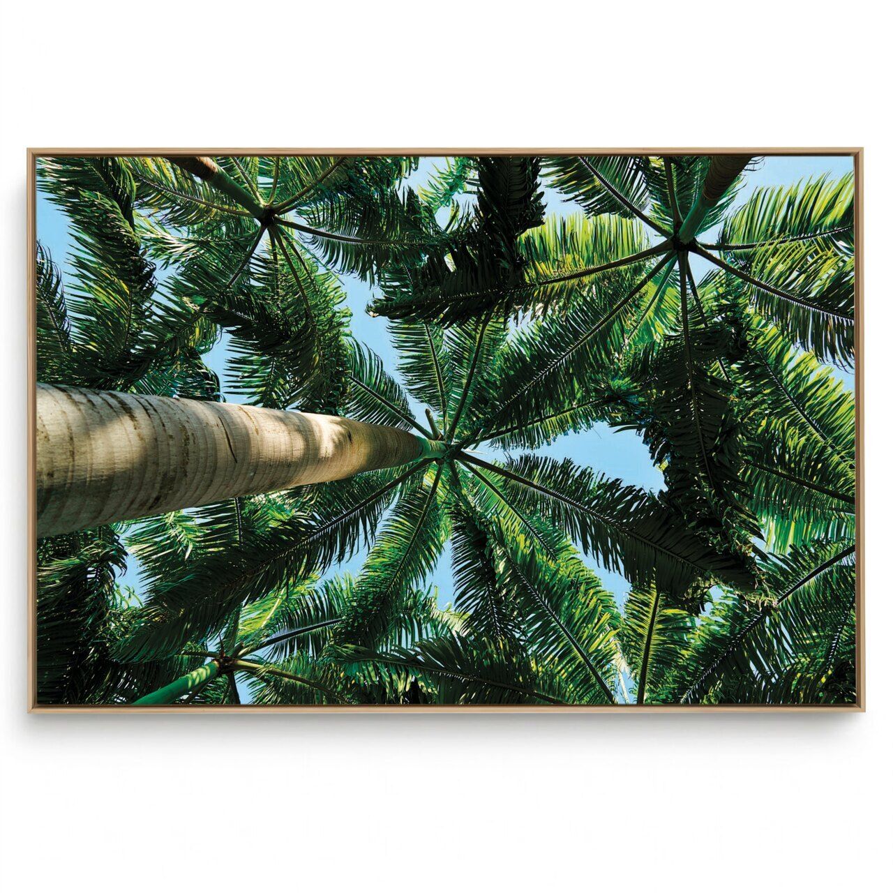 Quadro Decorativo Coqueiros 