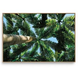 Quadro Decorativo Coqueiros