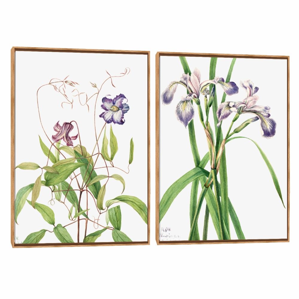 Quadro Decorativo Composição Duplo Iris Suave