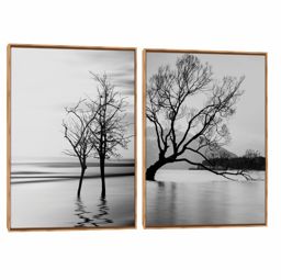 Quadro Decorativo Composição Duplo Sereno