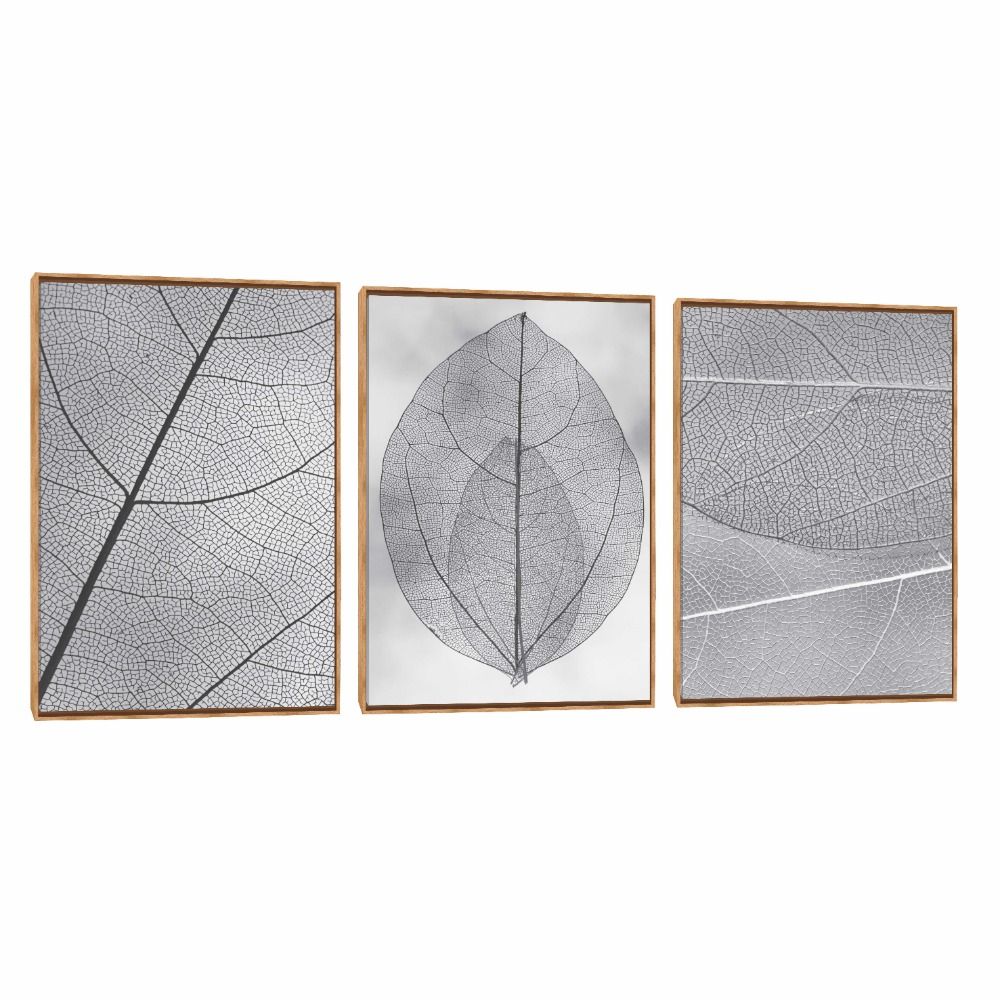 Quadro Decorativo Composição Trio Folhas Transparentes 
