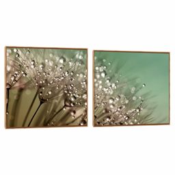Quadro Decorativo Composição Duplo Orvalho