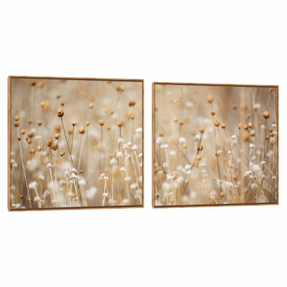 Quadro Decorativo Composição Duplo Mini Do Campo