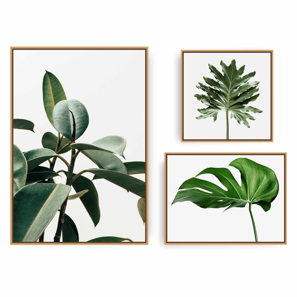 Quadros Decorativos Composição Ficus