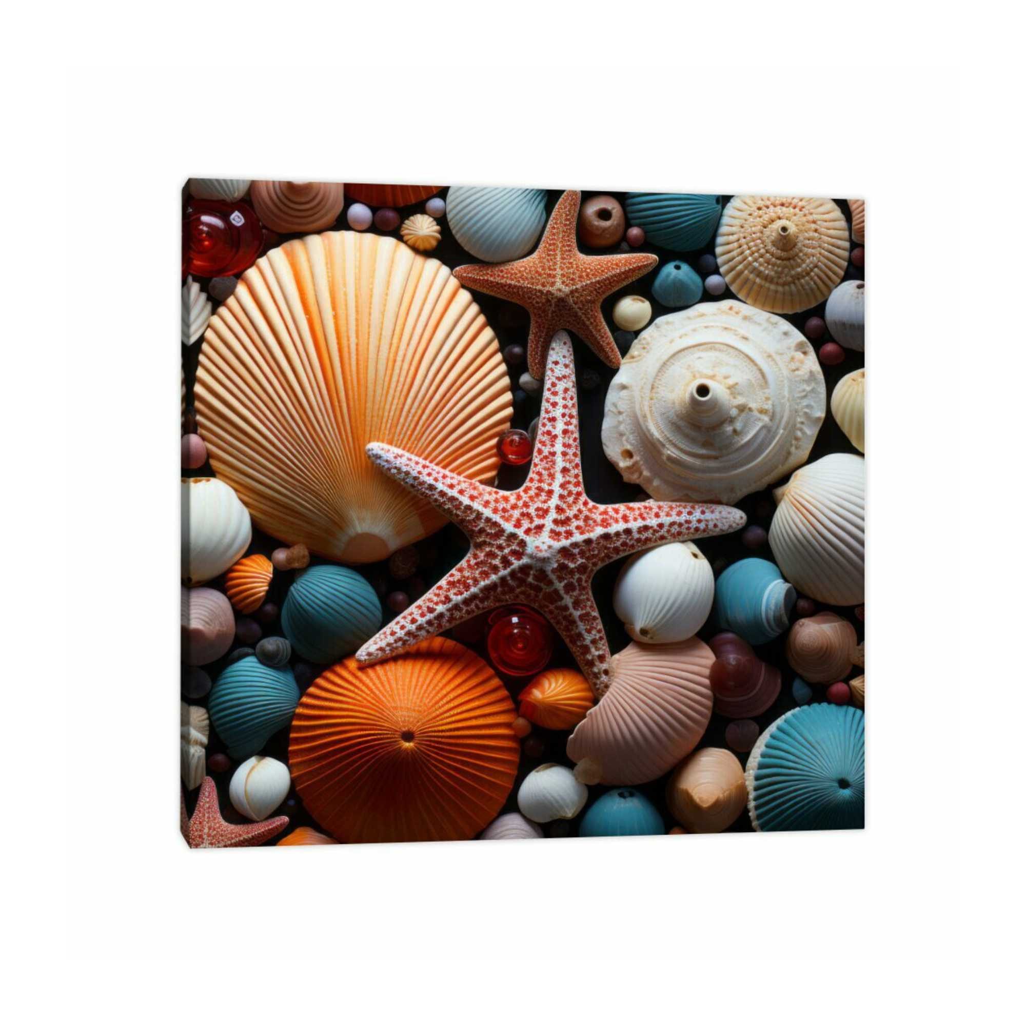 Quadro Outlet - Conchas Mix II 50x50cm Borda Infinita - 30% Off