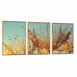 Quadro Decorativo Composição Trio Dente de Leão XIII