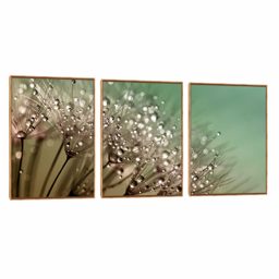 Quadro Decorativo Composição Trio Orvalho