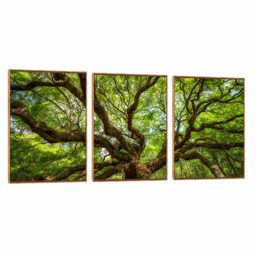 Quadro Decorativo Composição Trio Árvore Frondosa