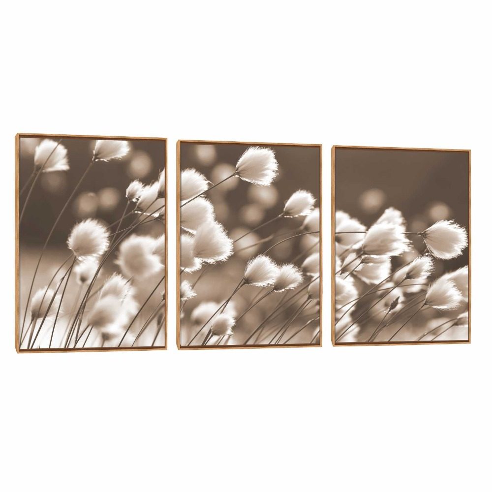 Quadro Decorativo Composição Trio Campo de Algodão II