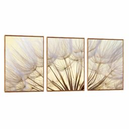 Quadro Decorativo Composição Trio Suave ao vento