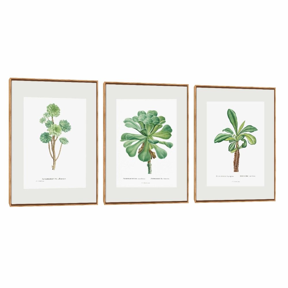 Quadro Decorativo Composição Trio Sempre Vivas