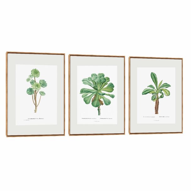 Quadro Decorativo Composição Trio Sempre Vivas