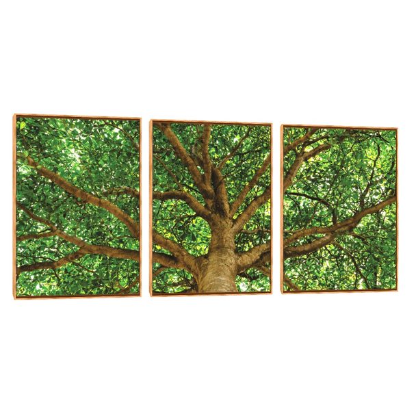 Quadro Decorativo Composição Trio Tronco