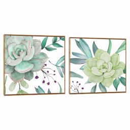 Quadro Decorativo Composição Duplo Suculenta Aqua