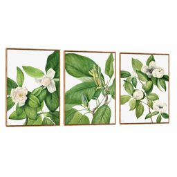 Quadro Decorativo Composição Trio Mary Vaux II