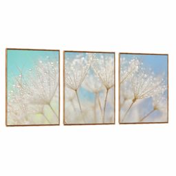 Quadro Decorativo Trio Suave Fundo Azul