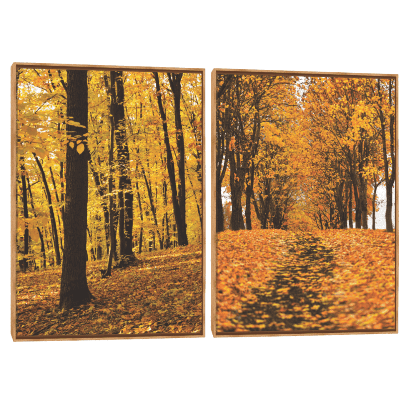 Quadro Decorativo Composição Duplo Folhas De Outono III