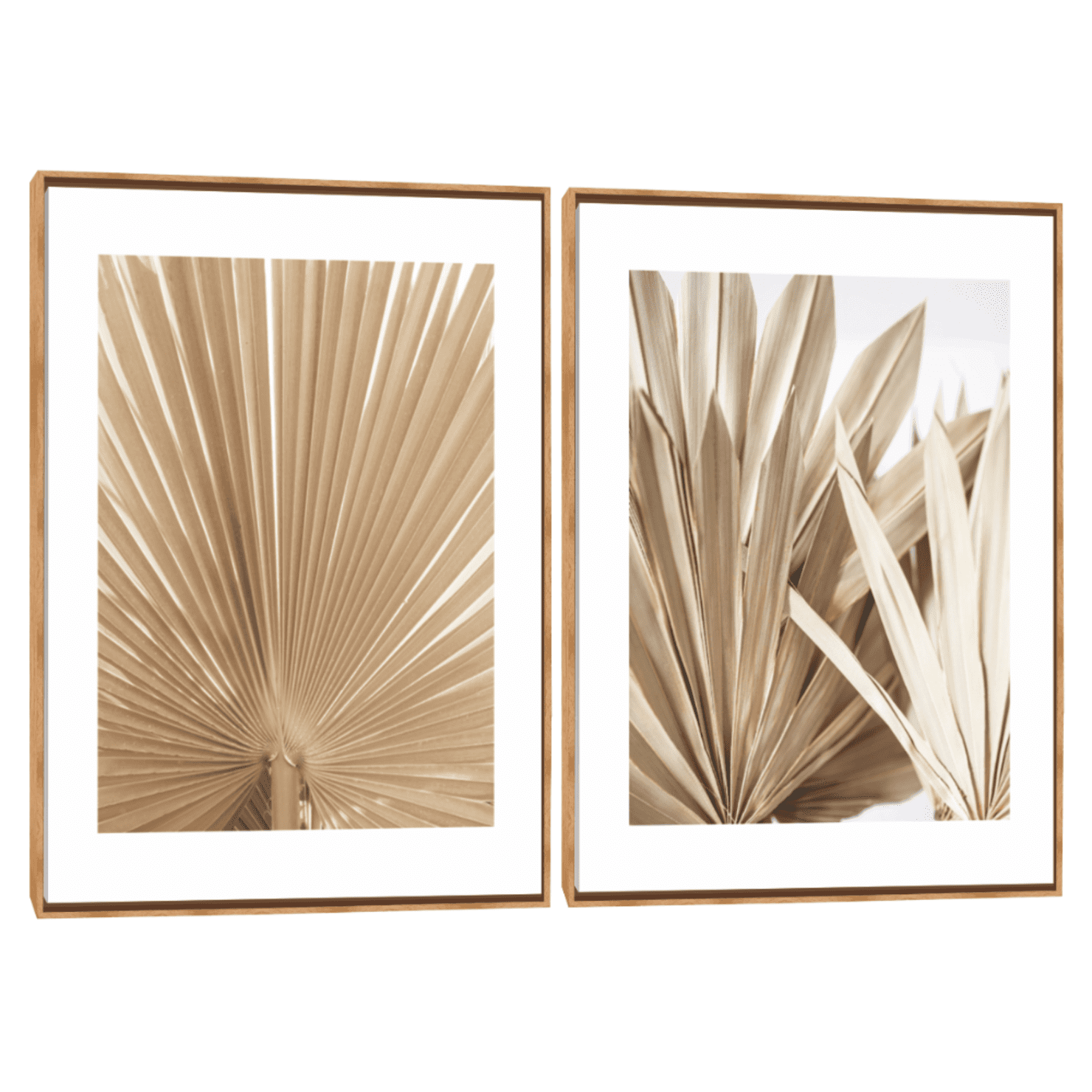 Quadro Decorativo Composição Duplo Folha Palha V