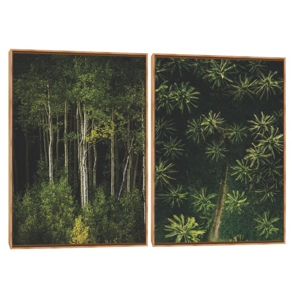 Quadro Decorativo Composição Duplo Natureza