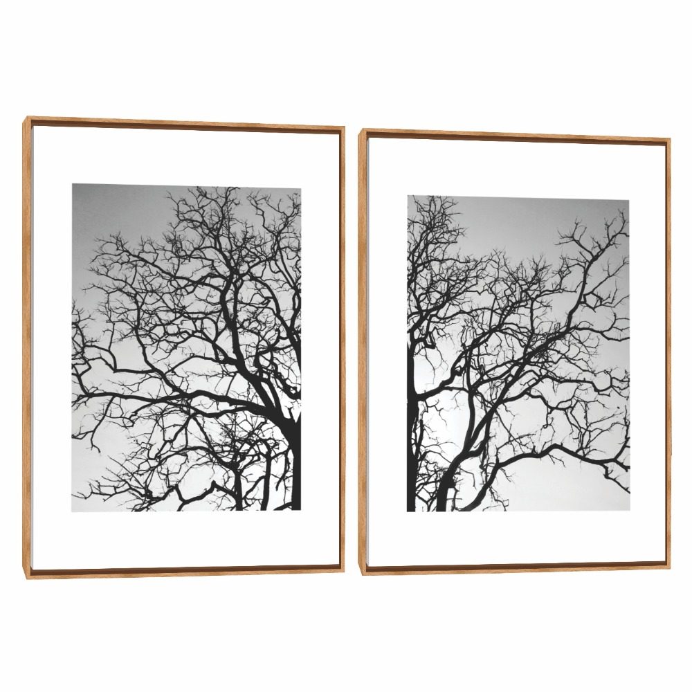 Quadro Decorativo Composição Duplo Árvore Galhos 