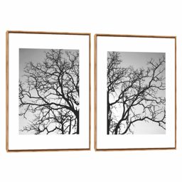 Quadro Decorativo Composição Duplo Árvore Galhos