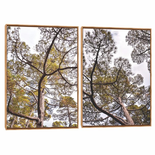 Quadro Decorativo Composição Duplo Árvore