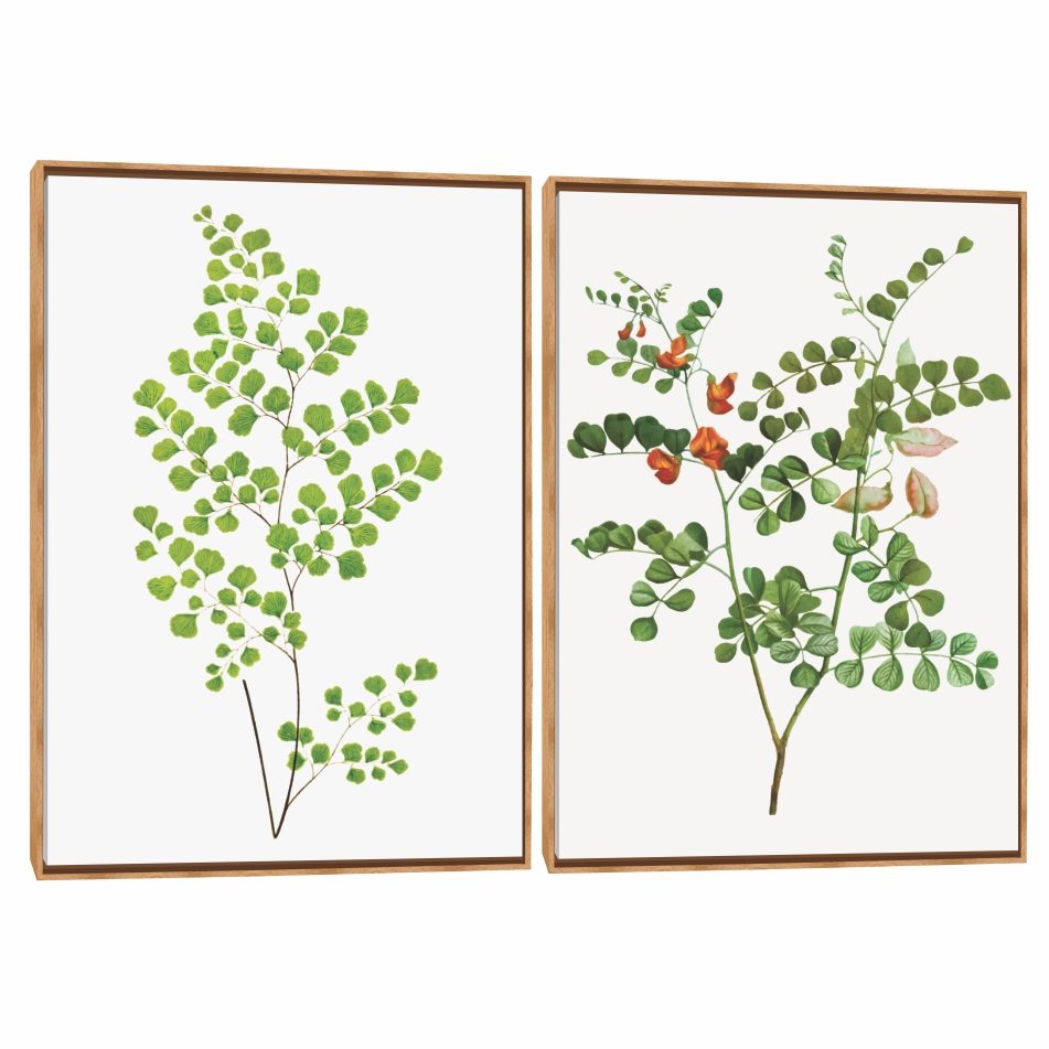 Quadro Decorativo Composição Duplo Avenca 