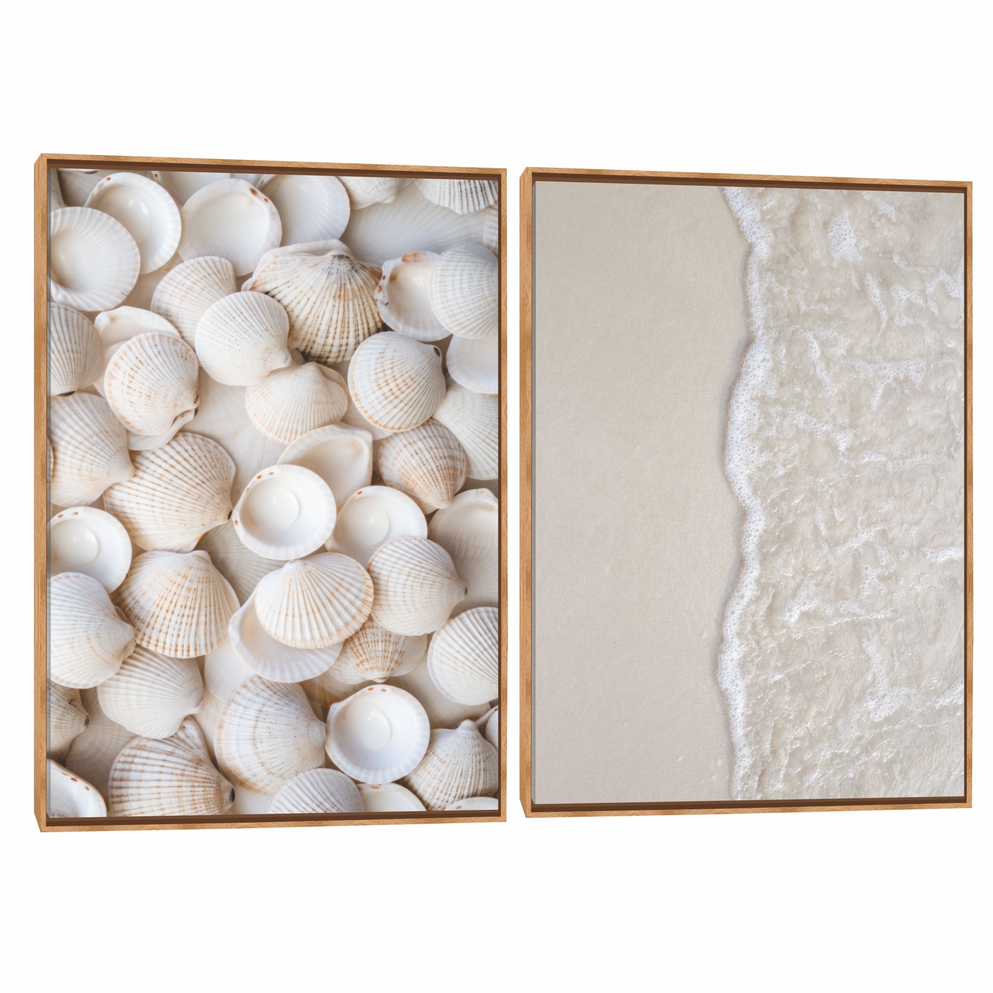 Quadro Decorativo Composição Duplo Conchas e Mar II