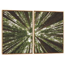 Quadro Decorativo Composição Duplo Floresta I