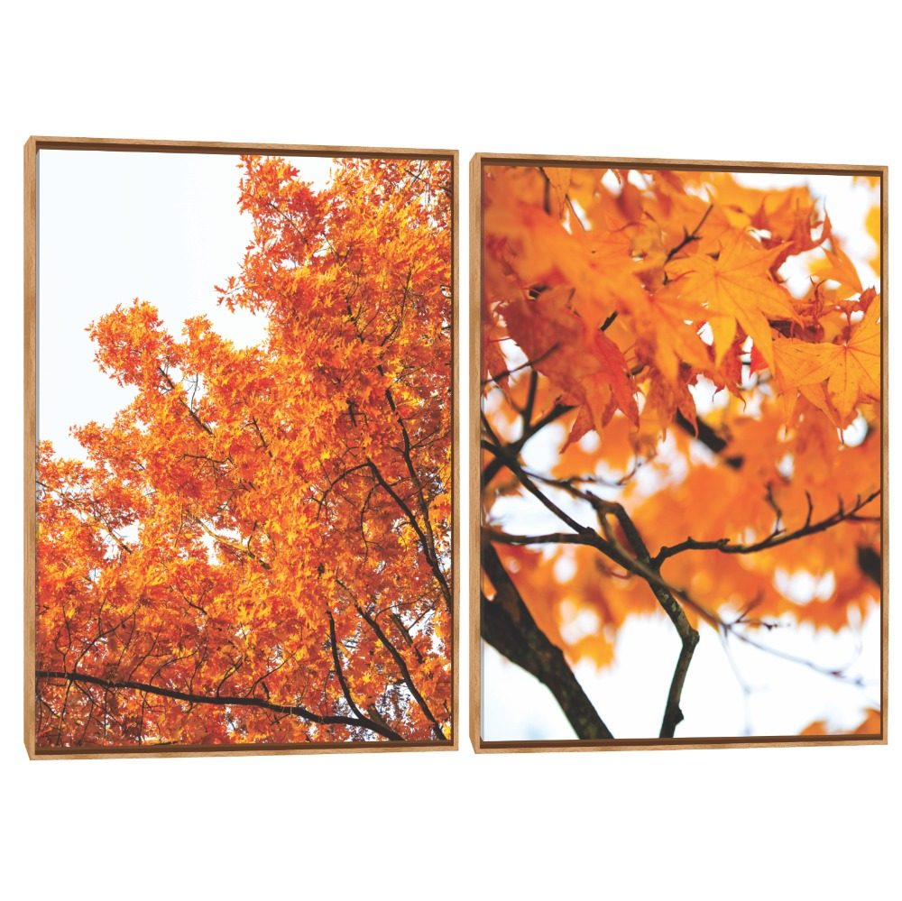Quadro Decorativo Composição Duplo Folhas De Outono I
